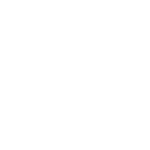 TNO Toronto Icon White