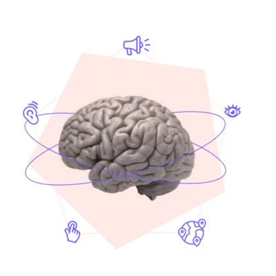 Third Wunder Brain 